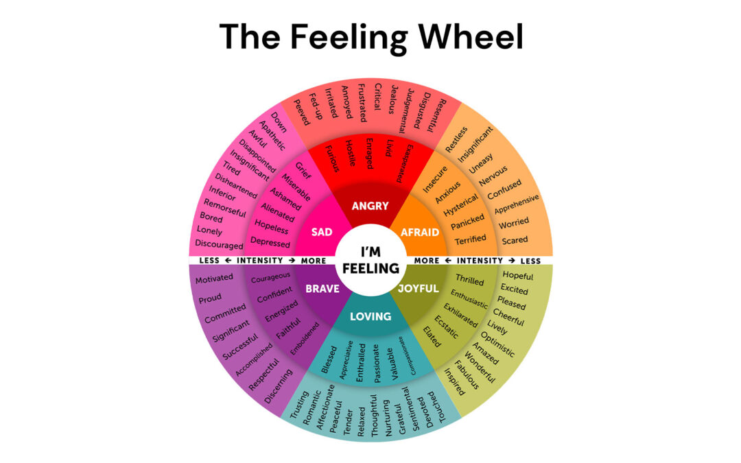 The Feeling Wheel: Your Emotional Dashboard