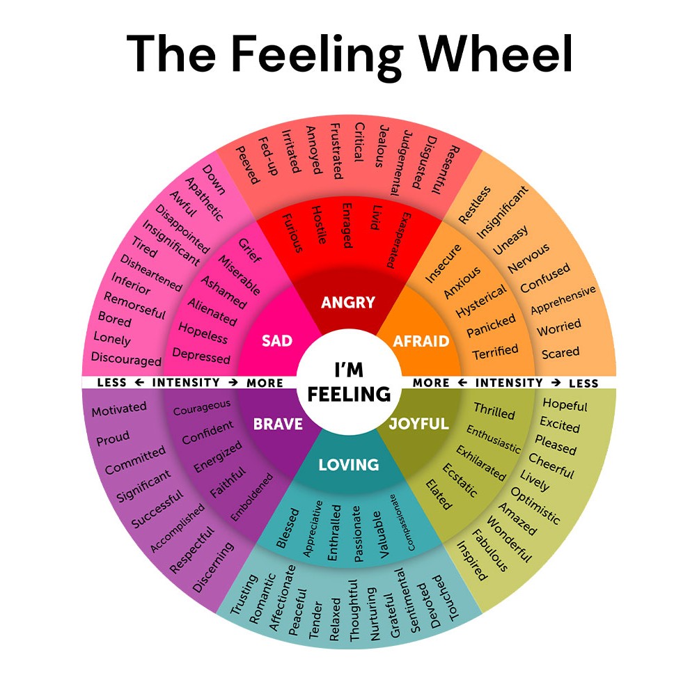 The feeling wheel graphic